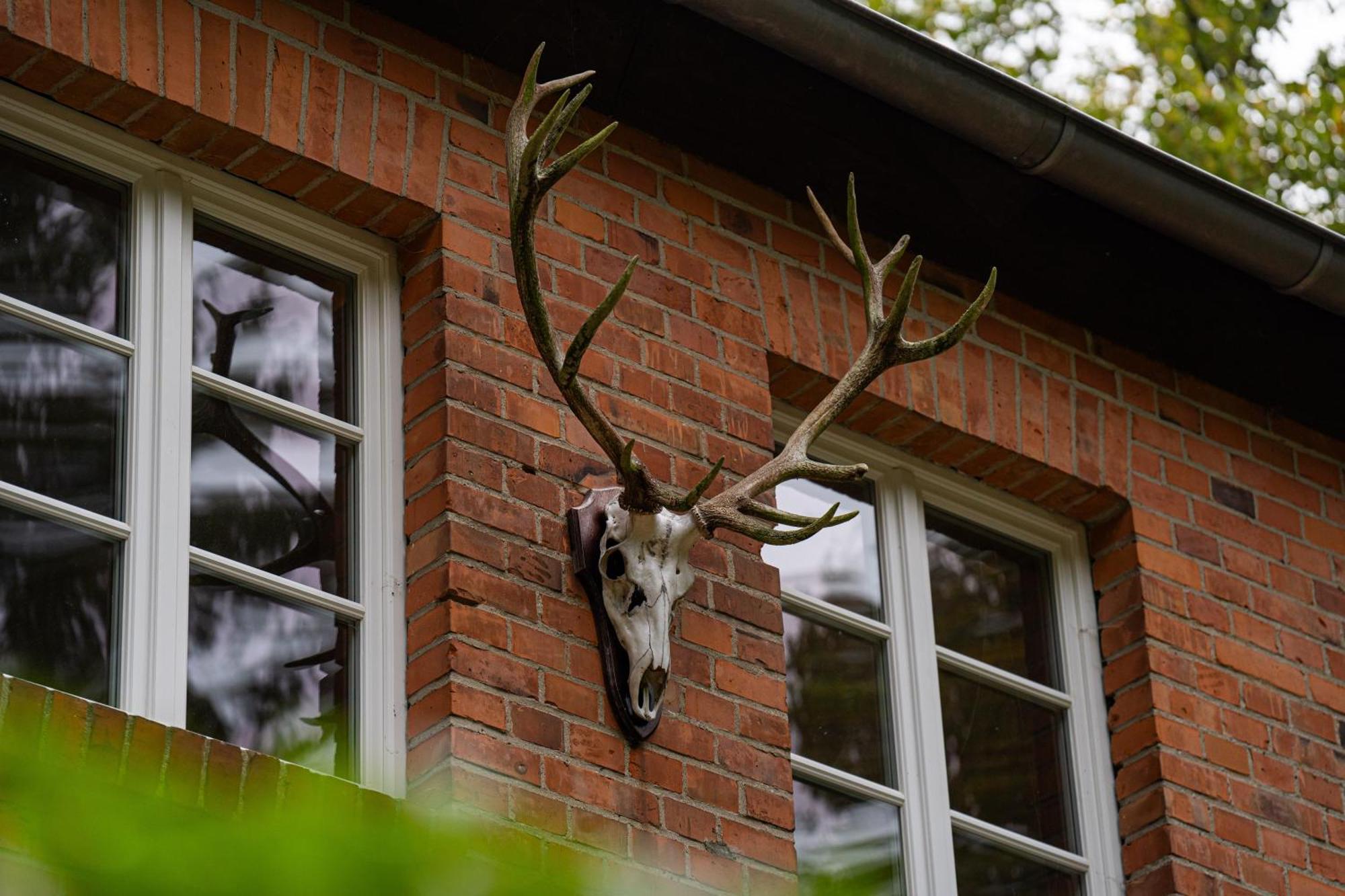 Wald- Und Seeidyll Im Historischen Forsthaus Neuruppin Eksteriør billede